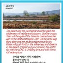 노보현 이미지