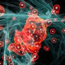 지상낙원 이미지