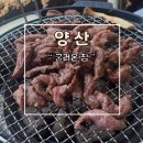 온집 | 양산 야장 맛집 숨은 로컬 굴러온집 후기