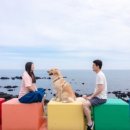 도기키친 프롬제주 이미지