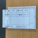 다인이비인후과병원 | 다인이비인후과 편도절제수술후기 / 검사·입원·2박3일 수술총비용정리