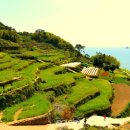 남해의 여유 이미지