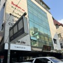 서울 애견동반 촬영 가로수길 펀앤베네핏스튜디오에서 가족사진 후기