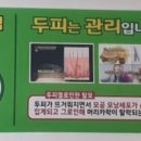 21세기헤어샾 네이버블로그