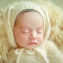 몽하우스 이미지