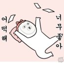 컬러핏