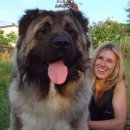 최현식농장 이미지