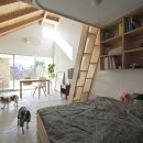 THE DOG SALON 이미지