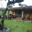 평화농원 이미지