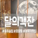 달의객잔 | [충주] 감성적인 분위기와 이색적인 안주 퓨전포차! 달의객잔!