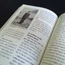 일육사목장 이미지