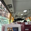 A350 | 아시아나항공 뉴욕편 에어버스 A350 XWB - 900 탑승 후기