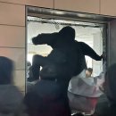 ◎ 여당 지지율 급등 ∙ 법원 난입…그 중심엔 2030 청년우파 있다