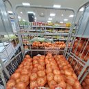 토마토mart 이미지