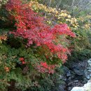 학암농장 이미지