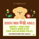 캣 미용실 이미지