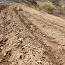 혜성프라스틱 | 올해 농사용 멀칭비닐은 생분해멀칭비닐로! 구멍 뚫기까지