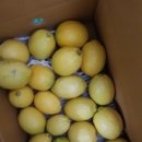 대산2농장 이미지