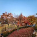 (주)사람과사람사이 이미지
