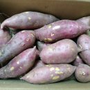 맛샘농장 이미지