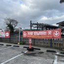 제주OK충전소 이미지