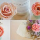 100-1-000112 이미지