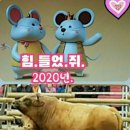 정복건강원