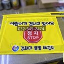 경희대 별빛 태권도장 이미지