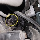 몽키개러지 | 대구 폭스바겐 골프 1.6TDI 수입차정비, 타이밍벨트 오일누유 &amp; 오일필터하우징.