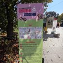 댕댕하개 이미지