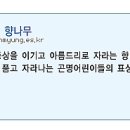 곤명초등학교 이미지