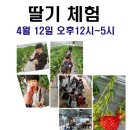 삼우 태권도 이미지