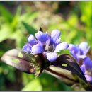 창우마을@ 이미지