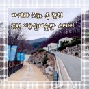 무궁화 슈퍼 | 춘천 이상원미술관 스테이 숙박, 식사 후기