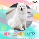 해피 이미지