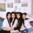 샵 이미지