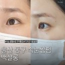 헤어살롱진성 | 울산 동구 속눈썹펌 백살롱 잘하는 곳 추천 유지력좋은