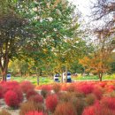 서울대학교 농업생명과학대학 실험목장 이미지