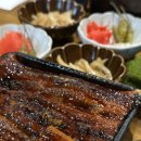 타마 이미지