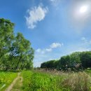 문산엘피지충전소 이미지