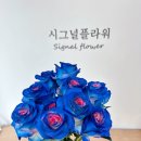 시그널플라워