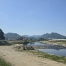 배방읍 곡교천로 네이버블로그