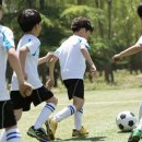 공부 잘하려면 축구, 배구를 하라?...“팀 스포츠가 아이를 똑똑하게 만든다” 이미지