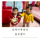 워시벨리 | 강원도 삼척가족펜션 로즈벨리 아이 걷기 좋은 넓은 잔디 정원이 있는 곳 이용 후기