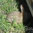 머뭄 이미지