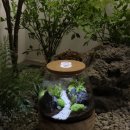 테라리움 - 파주시 방촌로 1184 | 테라리움