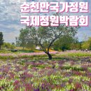 소담푸드47 | 순천만국가정원 국제정원박람회 입장권 예매 코스추천 | 국화 코스모스