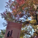 노을을 사랑하는 의 이미지