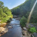 백배목장 이미지