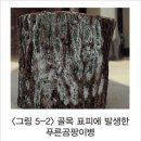 표고버섯 병해충의 방제...